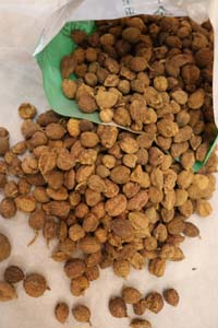 胰腺癌是怎么引起的？这7大诱因一定要谨防！